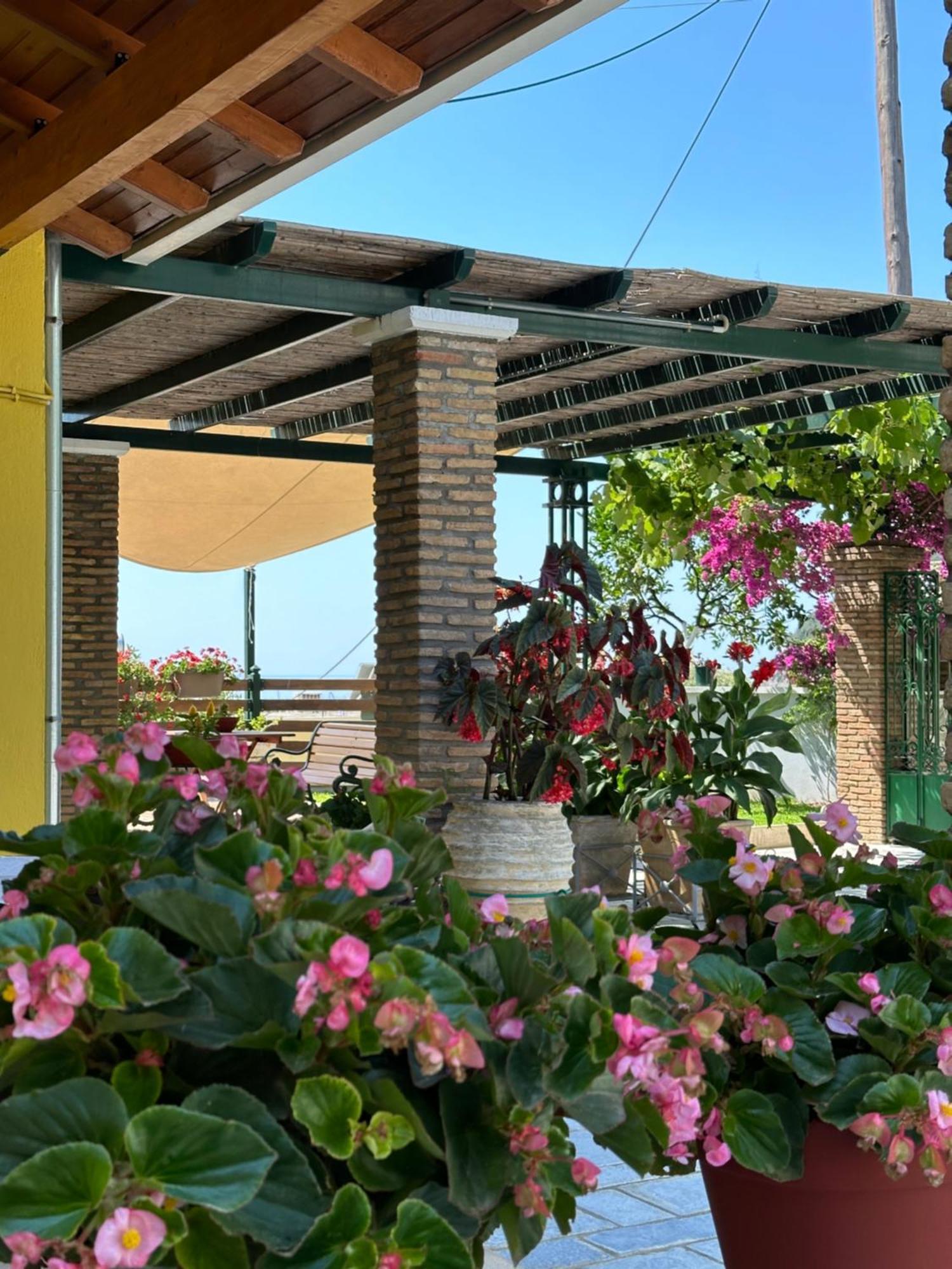 Villa Sofia Parga Ngoại thất bức ảnh