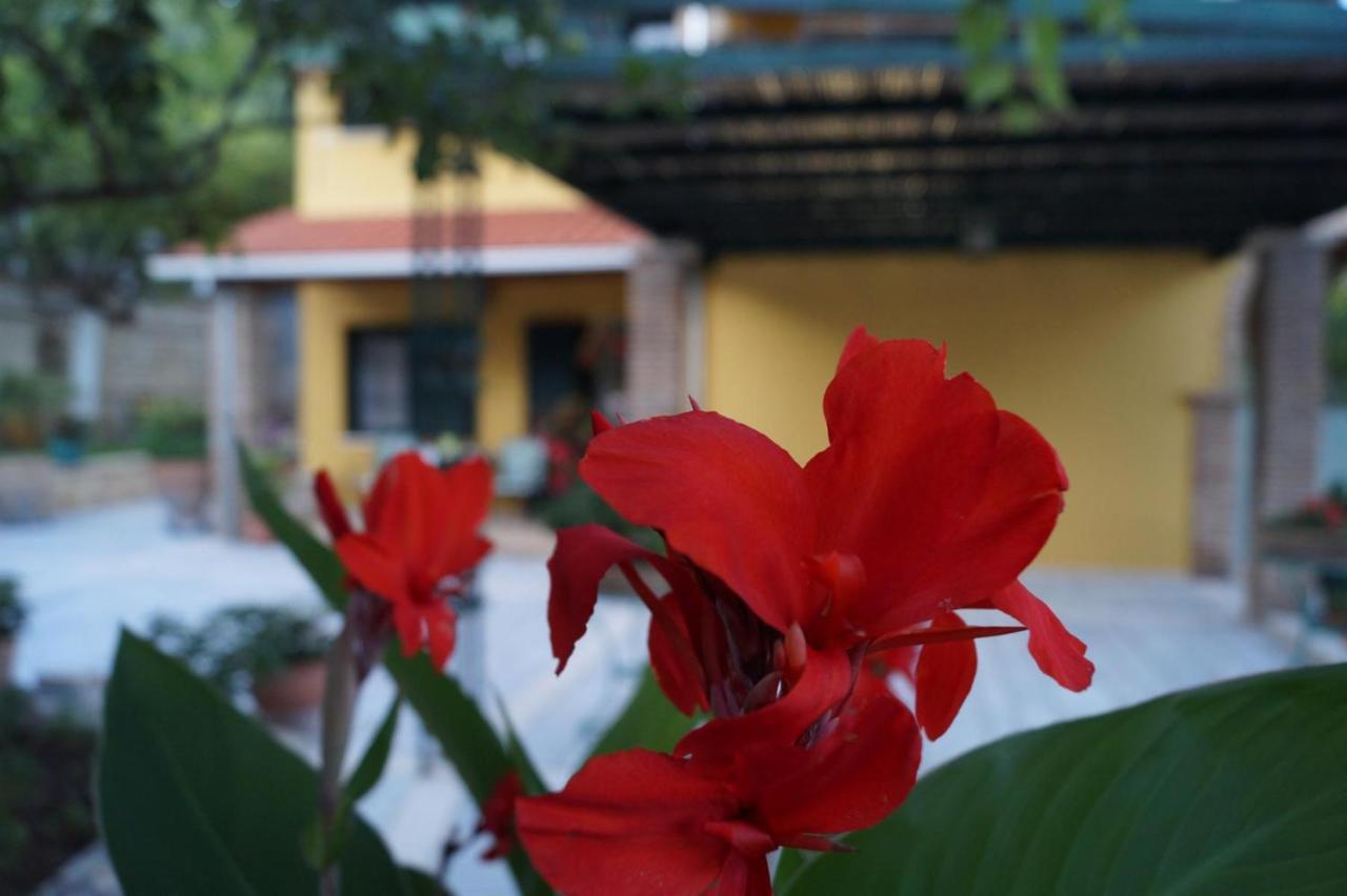 Villa Sofia Parga Ngoại thất bức ảnh
